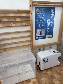 酸素ケアはじめました！！
