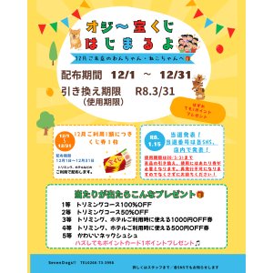 オジー宝くじ　はじまるよ！