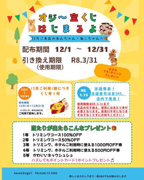12月限定キャンペーン・オジー宝くじはじまるよ🎁