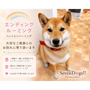 🌈エンゼルケア（エンディングルーミング）・ペットエンバーミング