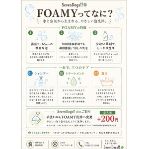 FOAMY導入しました