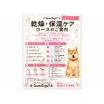 画像2: わんちゃんに合わせて選べる「3つのケアコース」 (2)