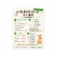 画像3: わんちゃんに合わせて選べる「3つのケアコース」 (3)
