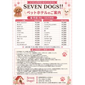 ホテルのご案内と料金